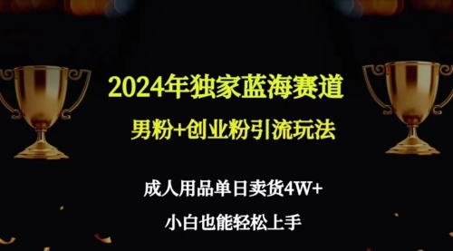 【第9110期】2024年独家蓝海赛道男粉+创业粉引流玩法，成人用品单日卖货4W+保姆教程-勇锶商机网