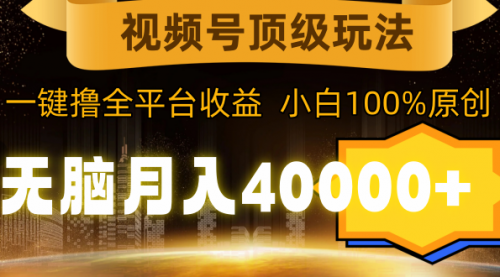 【第9247期】视频号顶级玩法，无脑月入40000+，一键撸全平台收益，纯小白也能100%原创-勇锶商机网