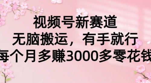 【第9250期】视频号新赛道，无脑搬运，有手就行，每个月多赚3000多零花钱-勇锶商机网