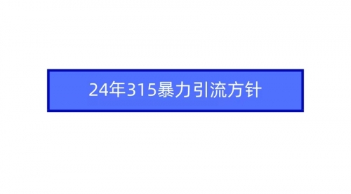 【第7173期】2024年315暴力引流方针