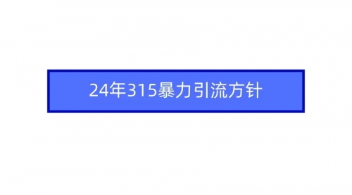 【第9344期】2024年315暴力引流方针插图