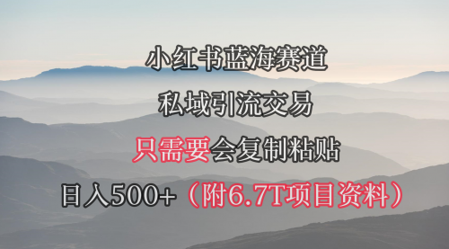 【第9415期】小红书短剧赛道，私域引流交易，会复制粘贴，日入500+（附6.7T短剧资源）-勇锶商机网