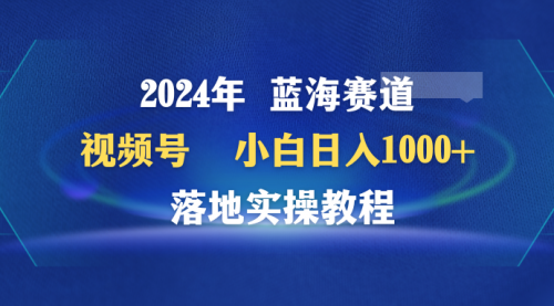 【第9447期】2024年蓝海赛道 视频号 小白日入1000+ 落地实操教程-勇锶商机网