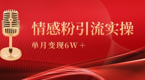 【第9370期】单月变现6w+，情感粉引流变现实操课-勇锶商机网