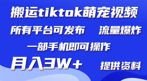 【第9530期】搬运Tiktok萌宠类视频，一部手机即可。所有短视频平台均可操作，月入3W+-勇锶商机网