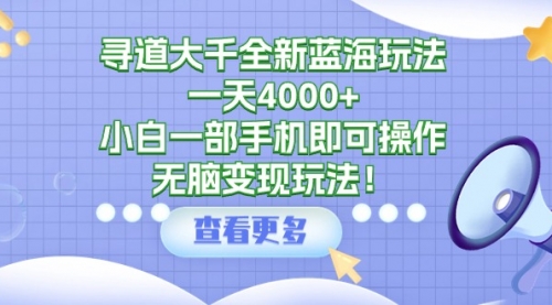 【第9423期】寻道大千全新蓝海玩法，一天4000+，小白一部手机即可操作-勇锶商机网