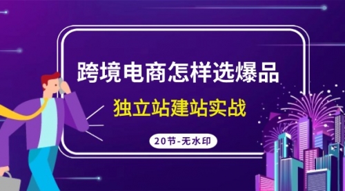 【第9335期】跨境电商怎样选爆品，独立站建站实战-勇锶商机网