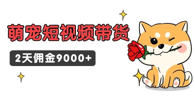 【第9253期】东哲日记·萌宠短视频带货，2天佣金9000+-勇锶商机网