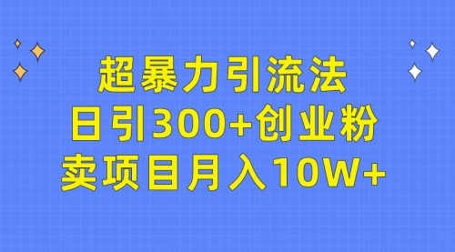 【第9817期】超暴力引流法，日引300+创业粉，卖项目月入10W+-勇锶商机网