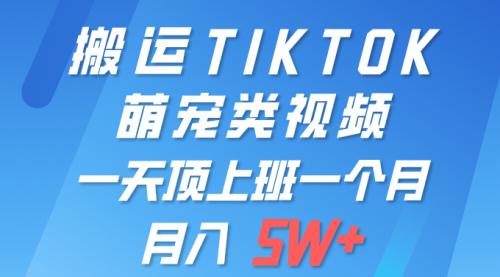 【第9807期】一键搬运TIKTOK萌宠类视频 一部手机即可操作 所有平台均可发布 轻松月入5W+-勇锶商机网