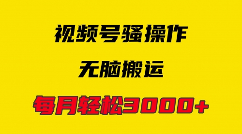 【第9826期】4月最新视频号无脑爆款玩法，每天轻松3000+-勇锶商机网