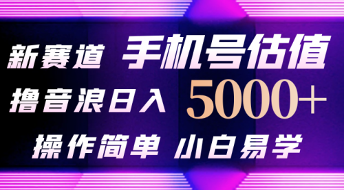 【第9967期】抖音不出境直播【手机号估值】最新撸音浪，日入5000+-勇锶商机网