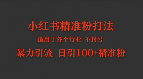 【第9679期】小红书各个行业适用的精准粉暴力引流打法 日引100+精准粉-勇锶商机网