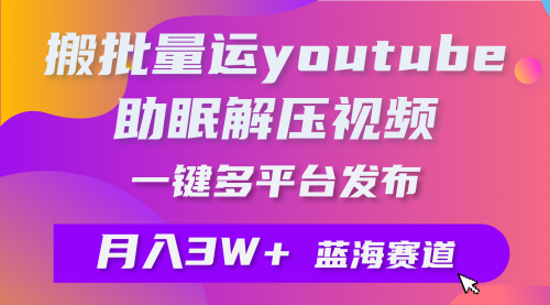 【第9629期】批量搬运YouTube解压助眠视频 一键多平台发布 月入2W+-勇锶商机网