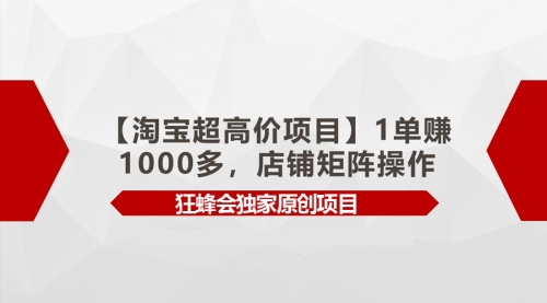 【第9733期】淘宝超高价项目，1单赚1000多，店铺矩阵操作-勇锶商机网