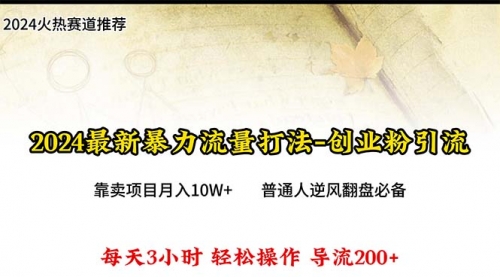 【第9969期】2024年最新暴力流量打法，每日导入300+，靠卖项目月入10W+-勇锶商机网