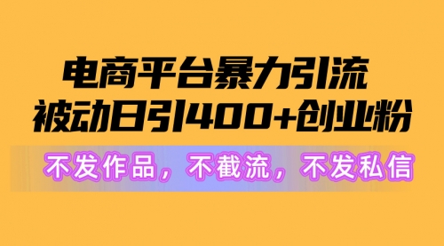 【第9987期】电商平台暴力引流,被动日引400+创业粉不发作品，不截流，不发私信-勇锶商机网