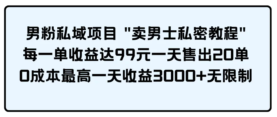 【第9626期】男粉私域项目 “卖男士私密教程” 每一单收益达99元一天售出20单-勇锶商机网