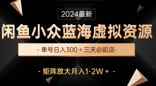 【第10088期】最新闲鱼小众蓝海虚拟资源，单号日入300＋，三天必起店，矩阵放大月入1-2W-勇锶商机网