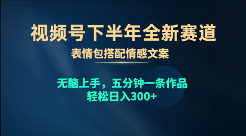 【第10048期】视频号下半年全新赛道，表情包搭配情感文案 无脑上手，五分钟一条作品-勇锶商机网