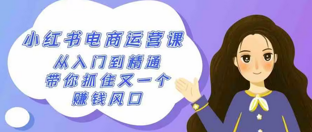 【第10130期】2024最新小红书电商落地实操课，从入门到精通，打造爆款方法（16节课）-勇锶商机网