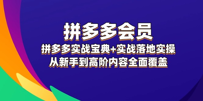 【第11258期】拼多多实战宝典+实战落地实操，从新手到高阶内容全面覆盖-吸亿欧创业网