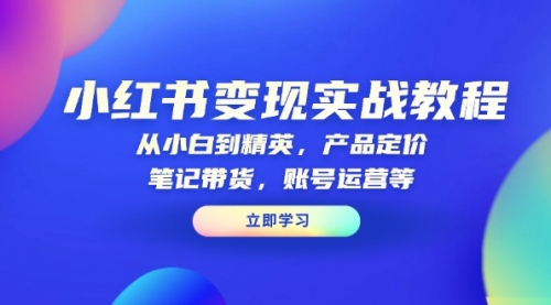 【第12271期】小红书变现实战教程：从小白到精英，产品定价，笔记带货，账号运营等-吸亿欧创业网