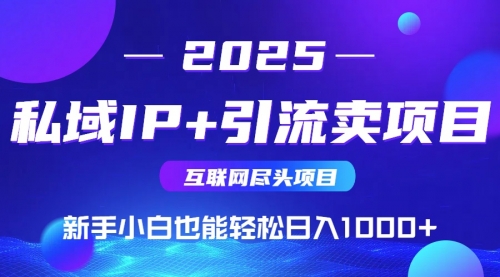 【第12865期】私域IP+卖项目，普通人小白也能轻松实现日入1000+-吸亿欧创业网