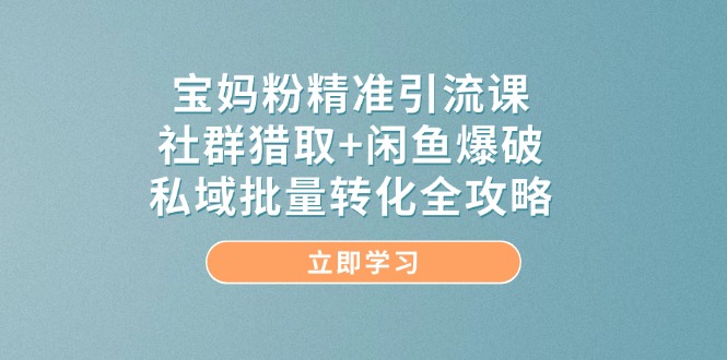【第12960期】宝妈粉精准引流课，社群猎取+闲鱼爆破，私域批量转化全攻略-吸亿欧创业网