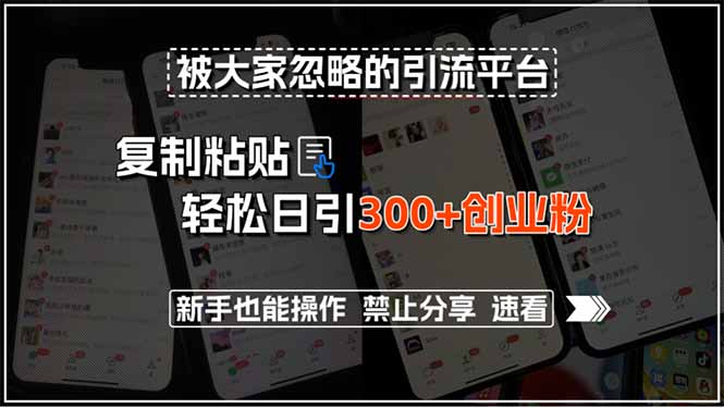 【第13289期】招聘平台，复制粘贴轻松日引300+创业粉，新手也能操作-吸亿欧创业网
