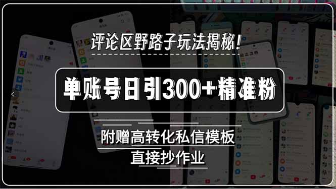 【第13307期】评论区野路子截流玩法揭秘！单账号日引300+精准粉-吸亿欧创业网