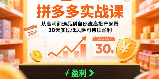 【第13379期】拼多多实战课：从高利润选品到自然流高投产起爆 30天实现低风险可持续盈利-吸亿欧创业网