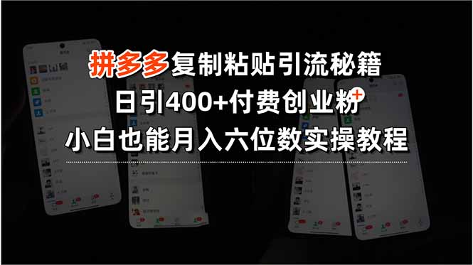 【第13392期】拼多多复制粘贴引流秘籍，日引400+付费创业粉，小白也能月入六位数-吸亿欧创业网