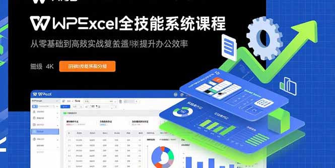 【第13539期】WPS Excel全技能系统课程：从零基础到高阶实战全覆盖，全面提升办公效率-吸亿欧创业网